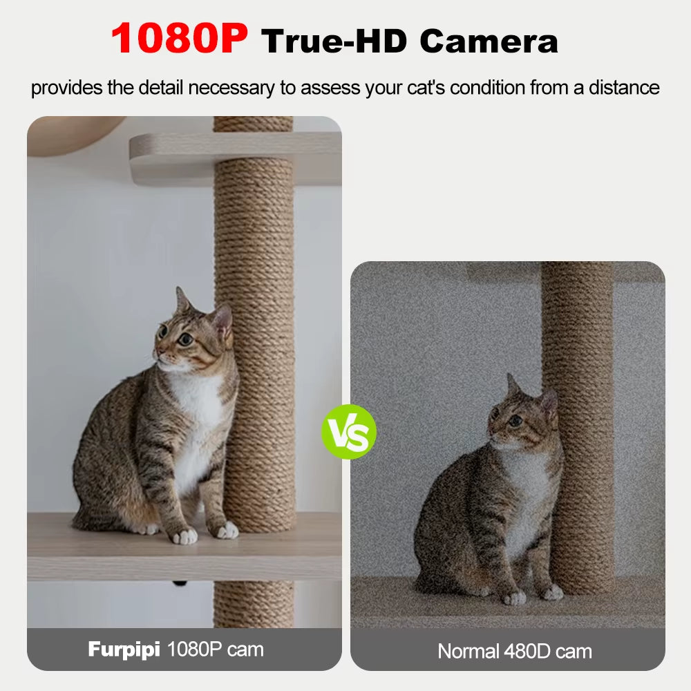 8L Automatic Smart Pet Feeder