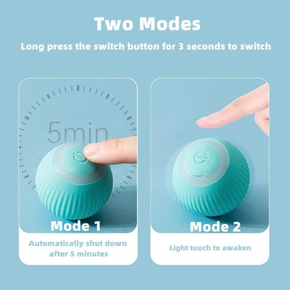 Cat Interactive Smart Ball Toy